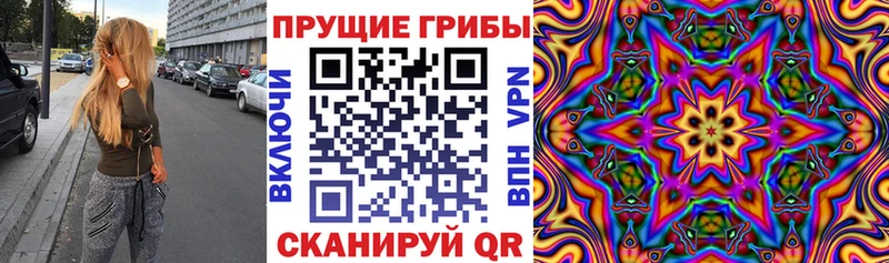 Псилоцибиновые грибы Cubensis  Вышний Волочёк 